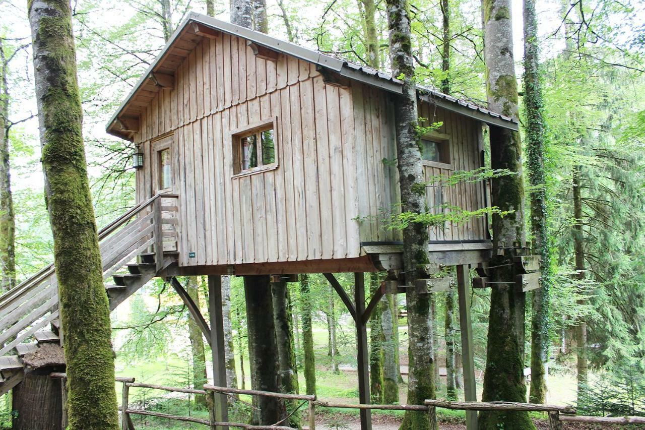 Domaine De Syam - Gites, Chambres D'Hotes & Cabanes 외부 사진