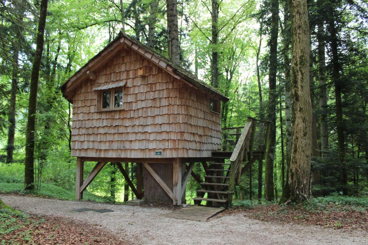 Domaine De Syam - Gites, Chambres D'Hotes & Cabanes 외부 사진